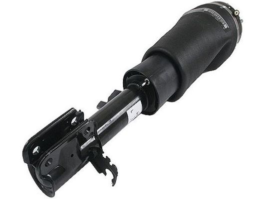 खरीदें RNB500550 हवा सस्पेंशन भाग हवा सस्पेंशन स्ट्रट online manufacture